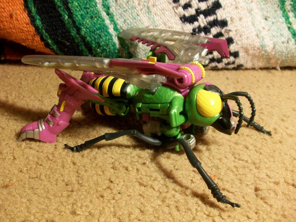 TFCC032_zps0abd674a_1405968092