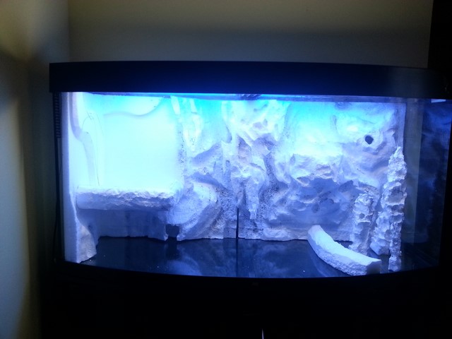 2014-03-01 15.31.23 (Copia)