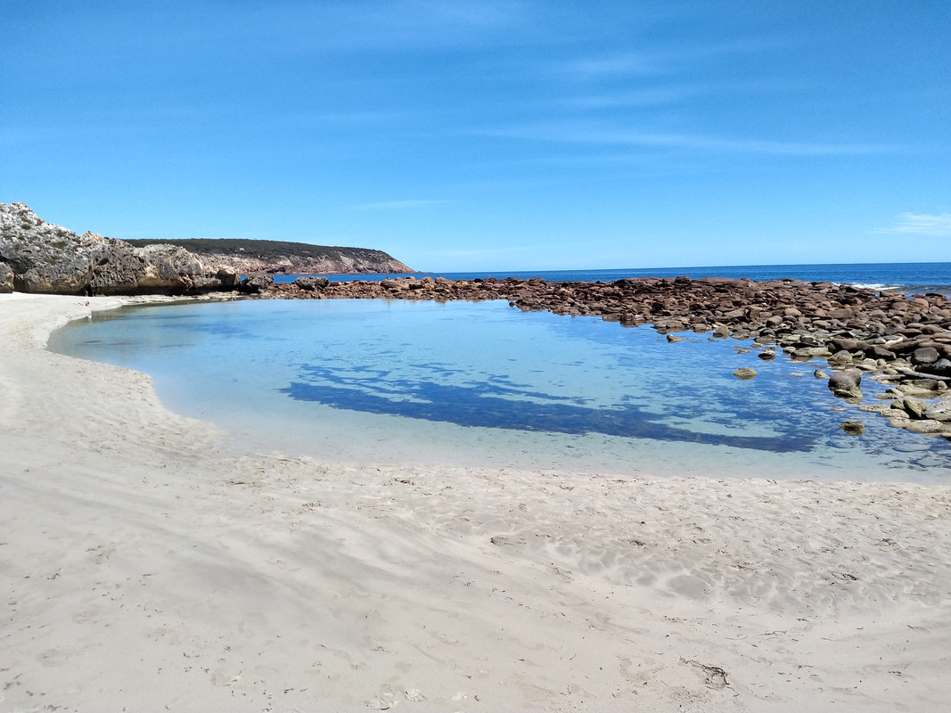 ISLA KANGURO - 3º DIA - AUSTRALIA , "QUE GRAN PAIS" (6)