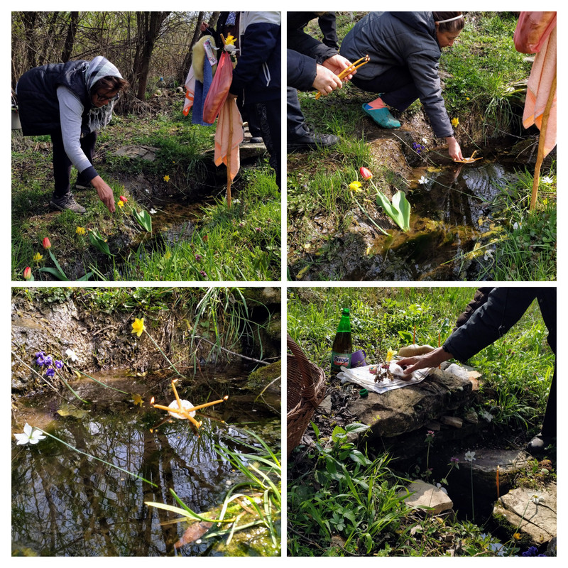 20251004-155554-COLLAGE.jpg