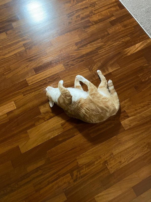 BDDA2307-2B80-433B-BDA0-837F1D374A1A