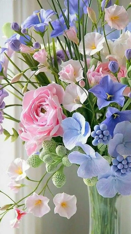 https://i.postimg.cc/qBn1gcDV/1635246360-25-mykaleidoscope-ru-p-pozdravlenie-tsveti-dlya-zhenshchini-tsvet-27.jpg