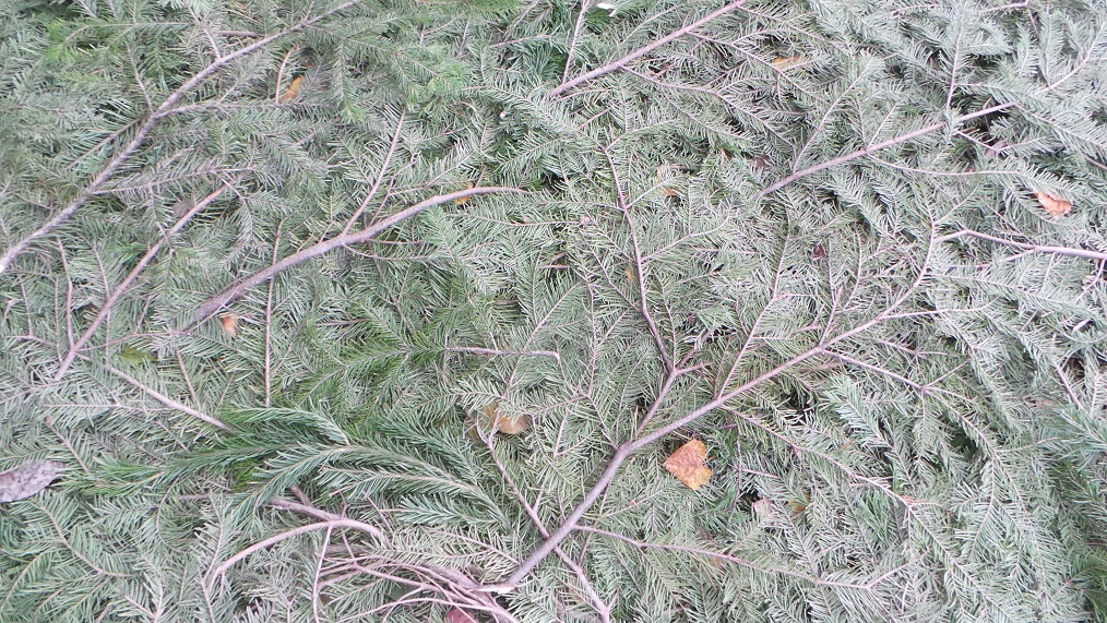 20140907_091855 (6 1)