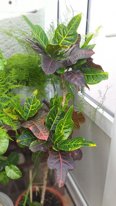 357732307_10226970788313080_2911242850610169927_n