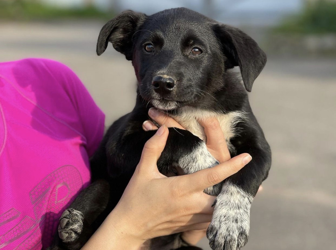 5B495760-1A14-4B25-9C74-EFB13692EA96