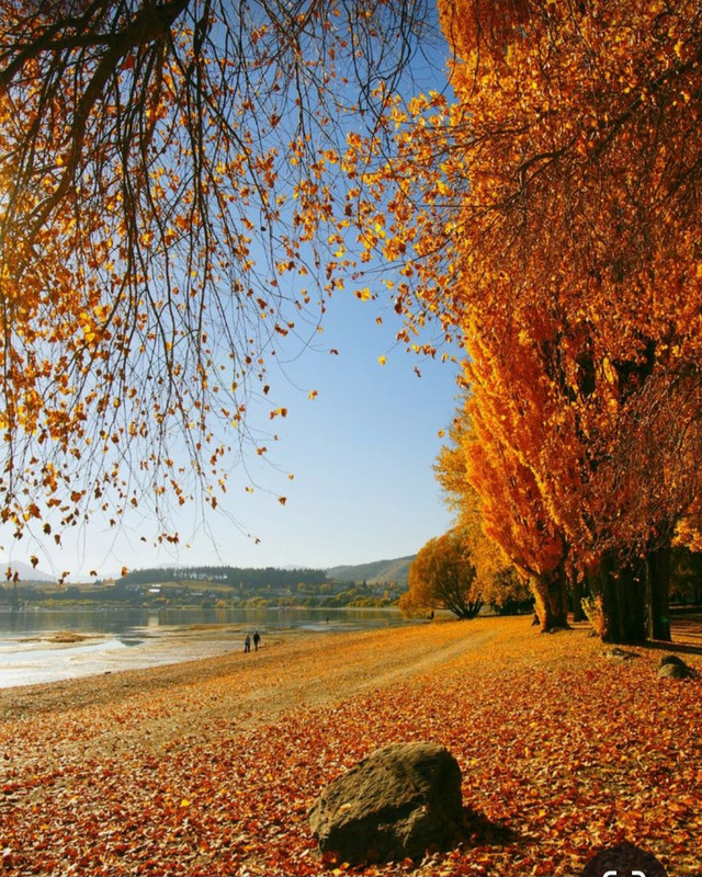 Screenshot_20231112_231538_Pinterest