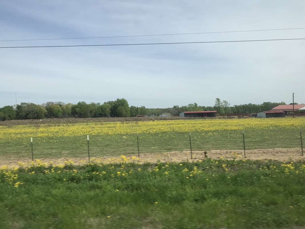 A71F9526-C516-4887-8085-19DBCF280802