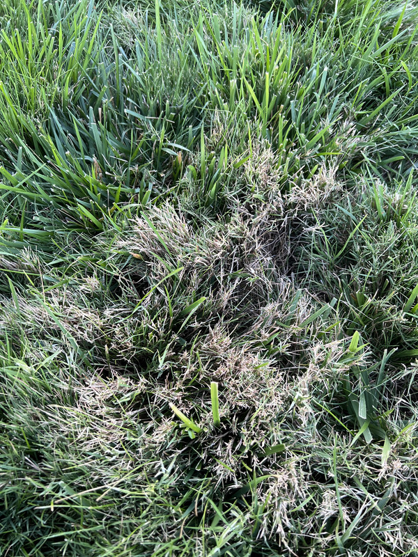 6744501C-AD19-4F84-B428-646438D8F53A