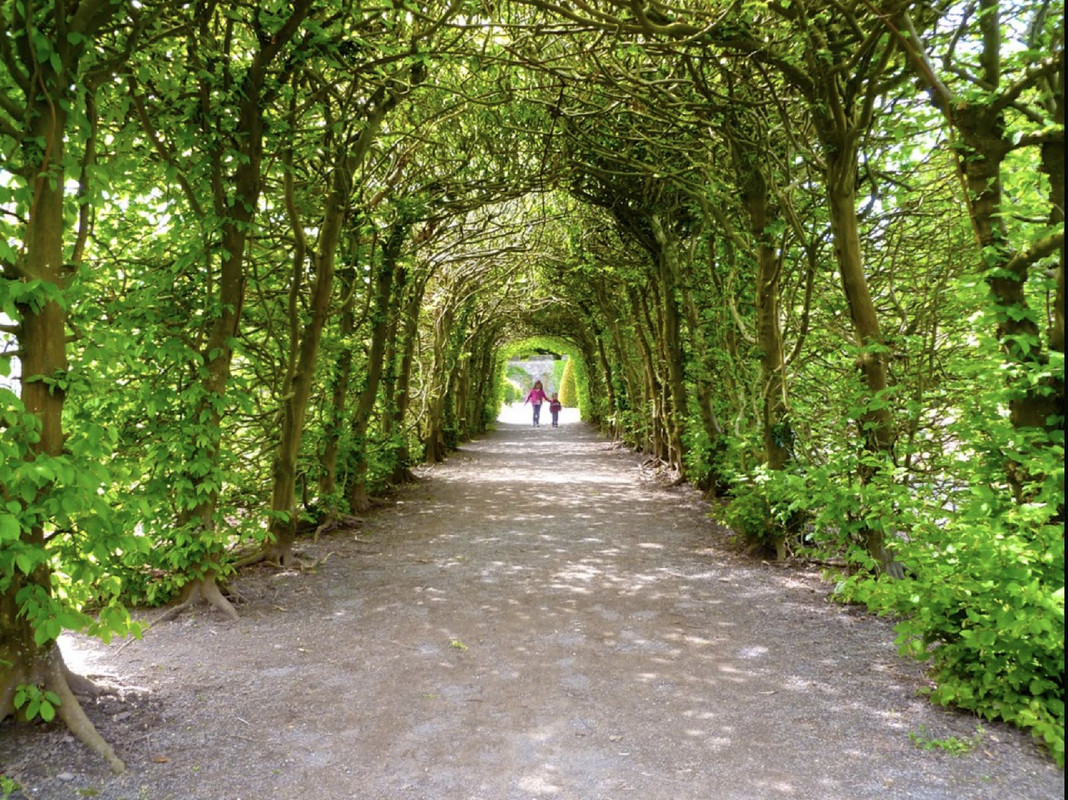 Greentunnel.jpg