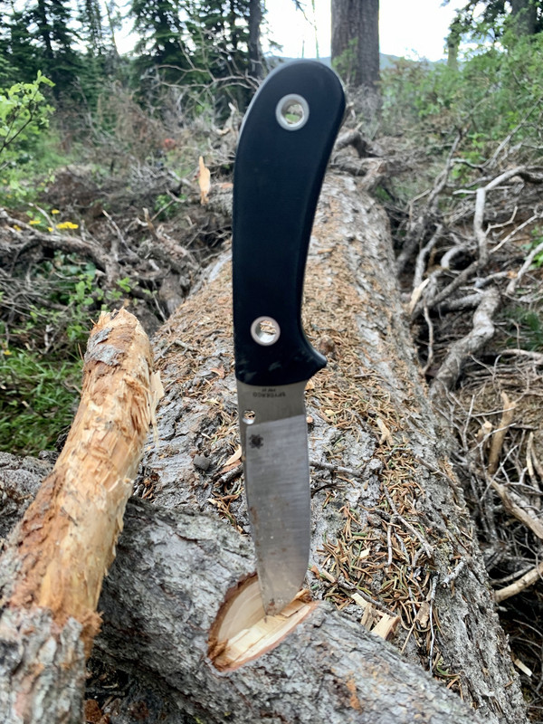 F309FAAE-4293-4A5D-A980-2550A1A9BC84