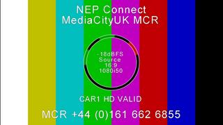 NEP-Connect-Wales-vs-Ireland20190316-100921.jpg