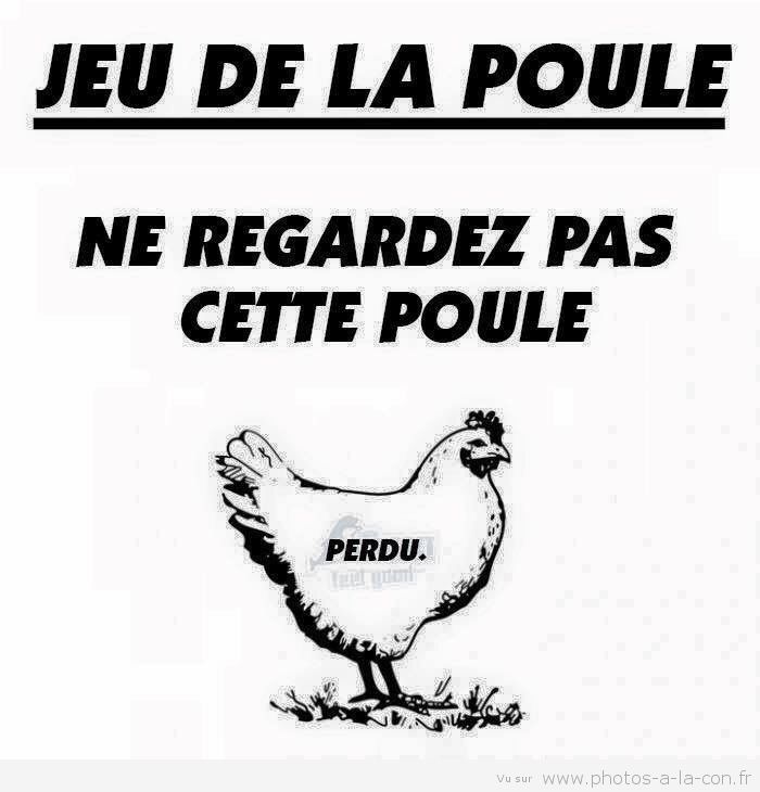 poule