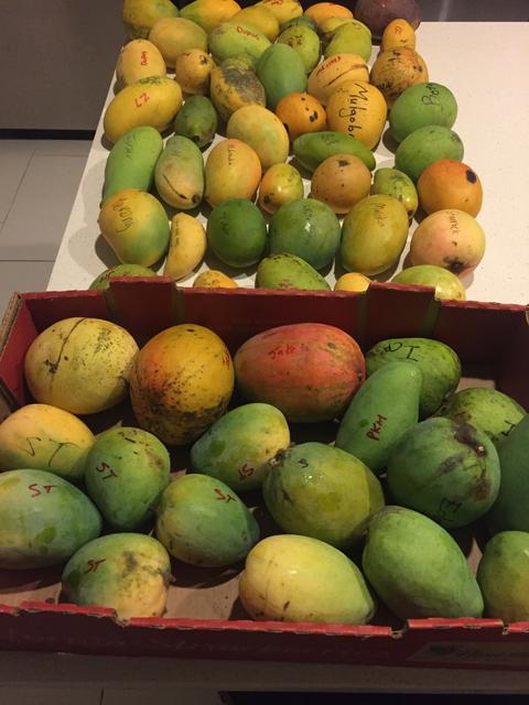 C0013FAD-0821-4BA8-9924-9A43C5C3B7DA