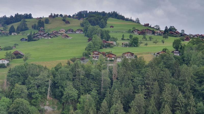 CÓMO SUIZA NOS ATRAPA POR 5º VERANO CONSECUTIVO + CARENNAC Y LOUBRESSAC - Blogs of Switzerland - WILDERSWIL Y SIGRISWILL...con puente colgante incluido (4)