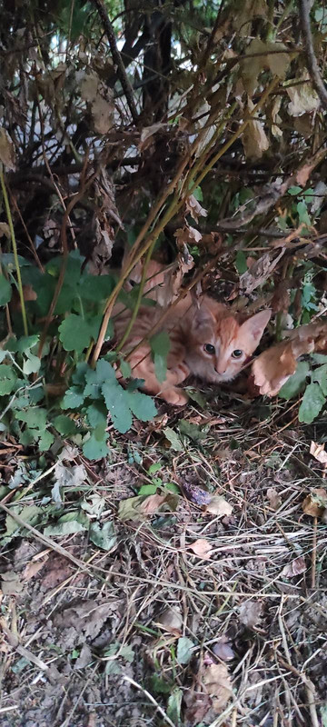 изображение_viber_2022-08-28_21-41-44-413