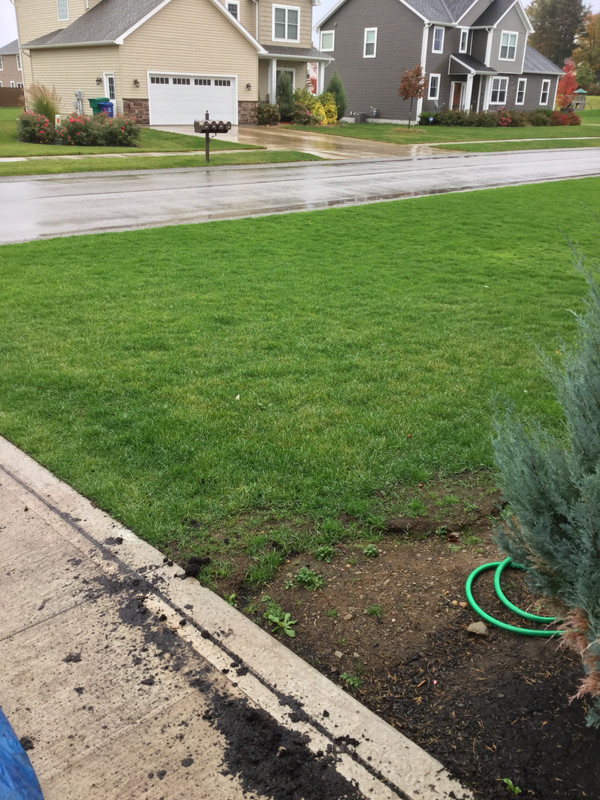 6C016D7F-0BD0-4375-9165-130FAB723DB8