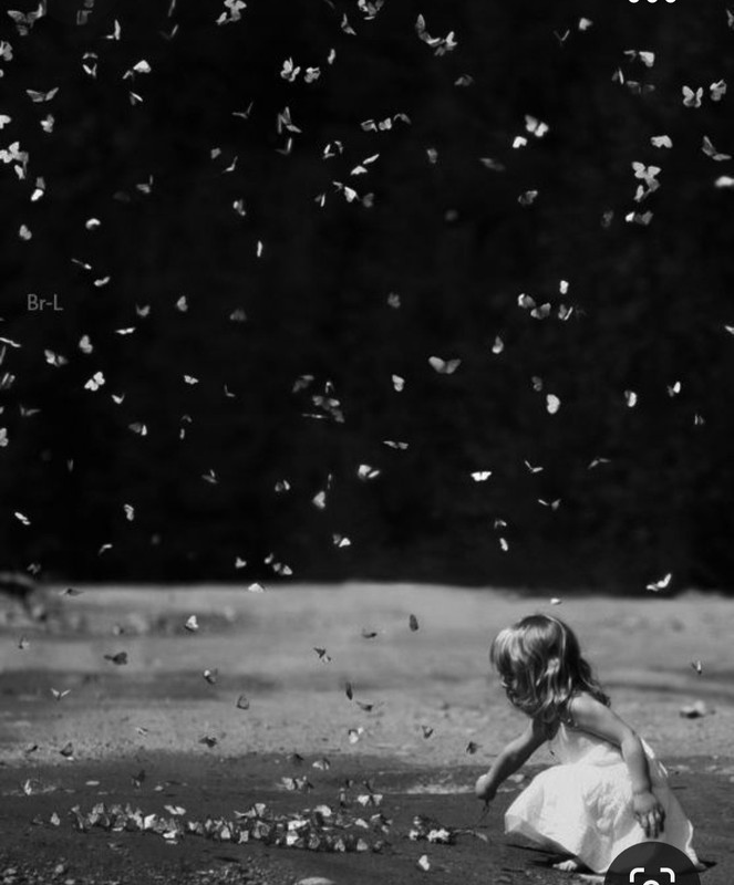 Screenshot_20231024_203603_Pinterest