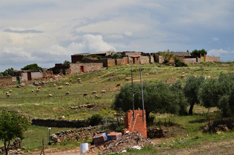 VILLAR DEL PEDROSO-13-6-2023 - Extremadura y sus pueblos -2010-2023 (46)