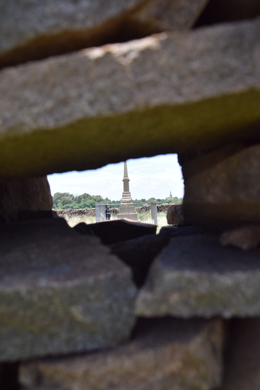 DSC_0060 (3)