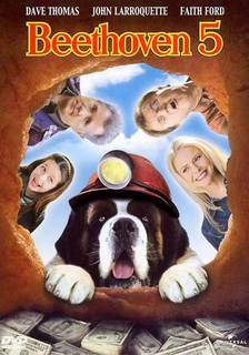 Beethoven 5 (2003).avi DvdRip AC3 iTA