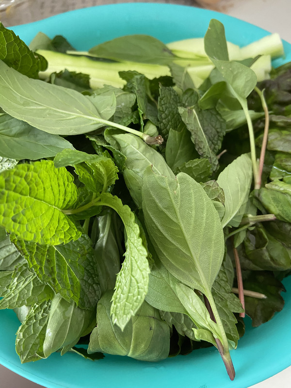 405026AB-2402-4B74-ADA8-08427BC53DD4