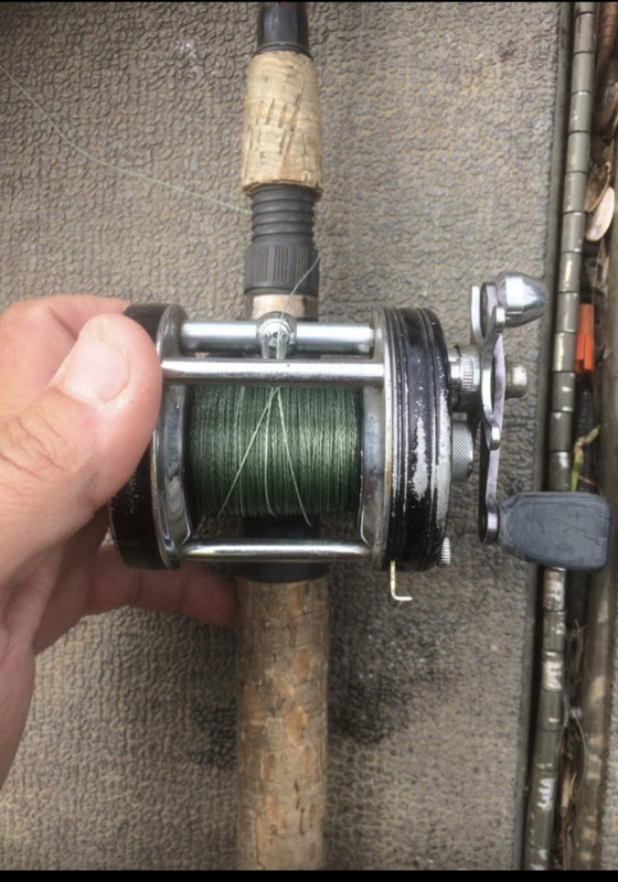 Old All Star vs. New All Star - Fishing Rods, Reels, Line, and Knots - Bass  Fishing Forums