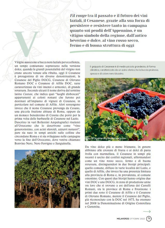 melaverde Ott 2022 (12)