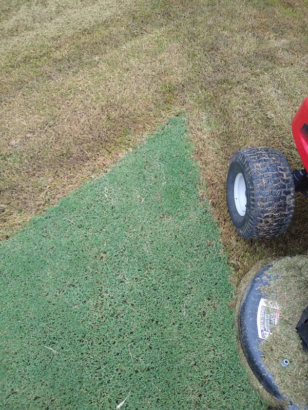 IMG_20190919_115623683