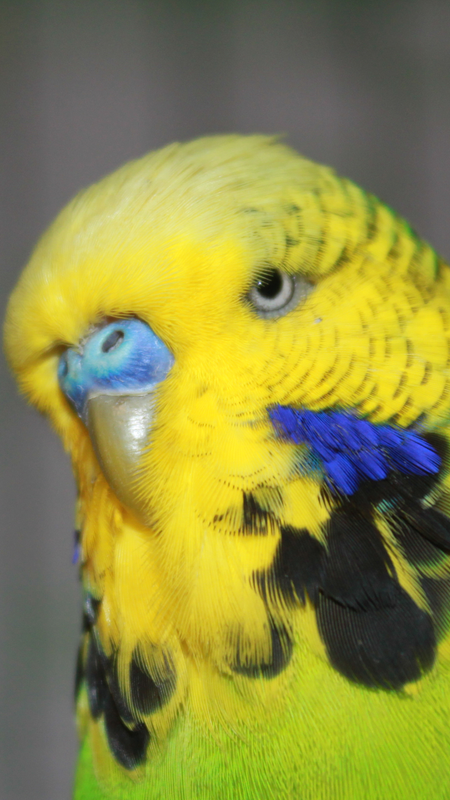 Screenshot_2018-11-10-10-00-19