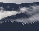 New morning Misty-mini-ava