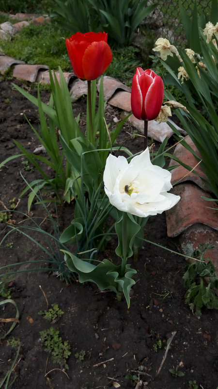 IMG_20190407_155927
