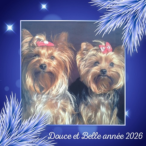 pixiz 30 12 2025 14 46 09