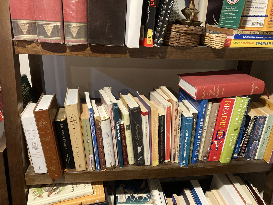 20D11B21-4AD5-47AE-921B-C03AF1A2A55A