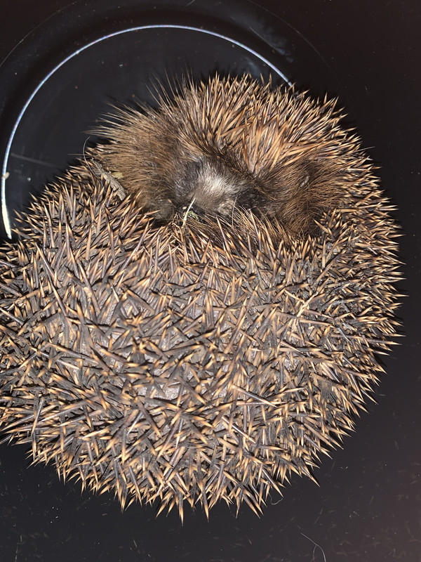 DC576AE3-143B-45D5-A546-2A6DD6EF3266