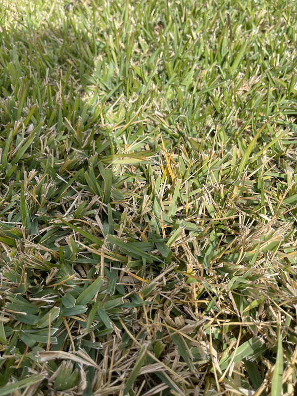 8A9449F3-585F-48E6-9823-848896B83D8F