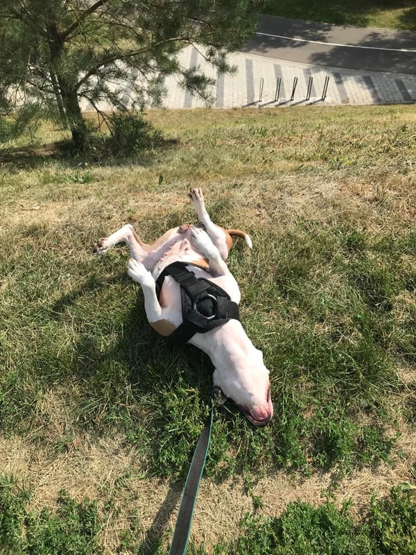 64D6BF29-FCE5-4551-9CBE-F81056F6ED22