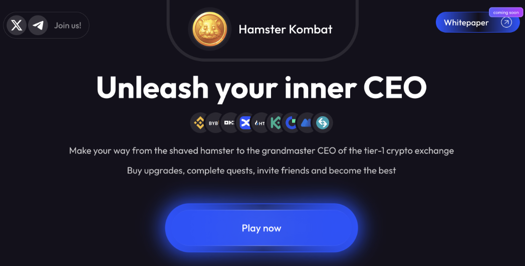 guide Создатели Hamster Kombat говорят на русском?