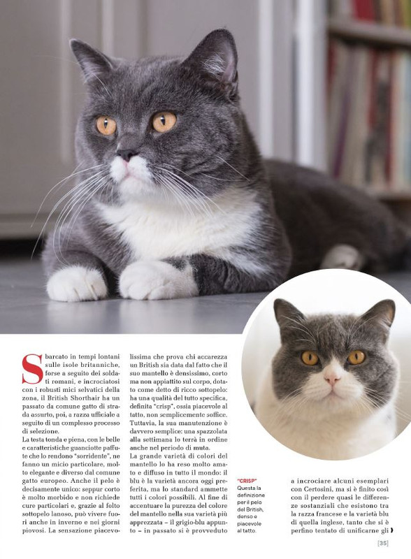 Ga Ma Ago-Set 2025 (2)