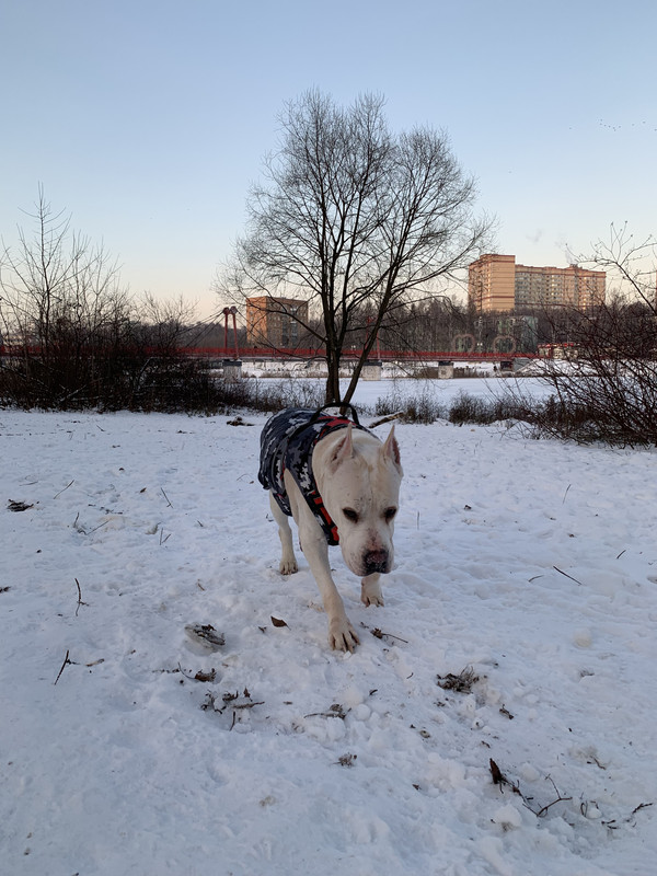 D49166CF-A226-4EAA-9536-CAF2E59E0B00