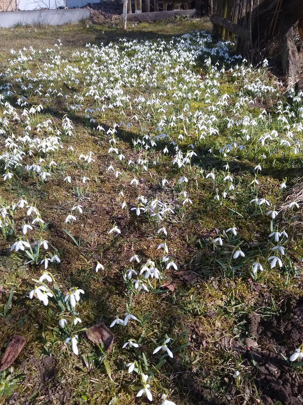 IMG_20230310_113614769