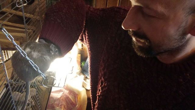 IMG-20170305-WA0008