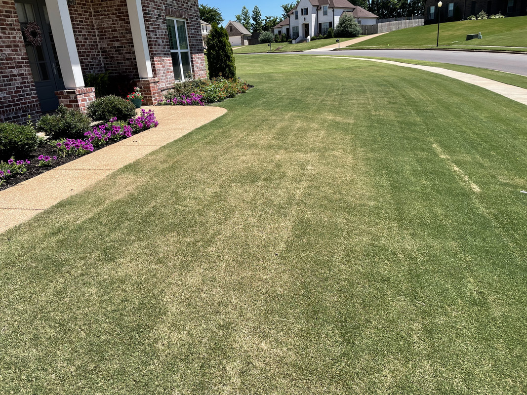 06927648-7C7C-4F90-8DB7-7D346A0BE594