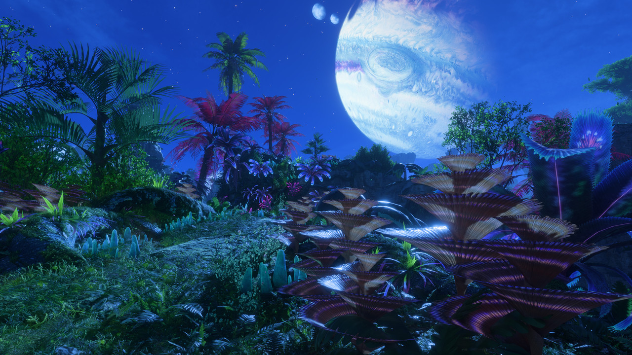 afop 2026 01 08 02 52 46 706