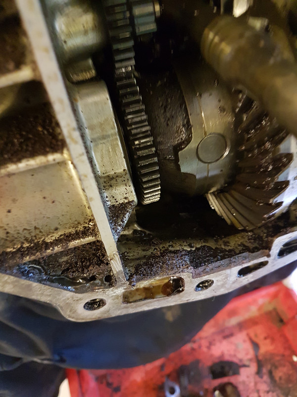 BV joint de carter (1)