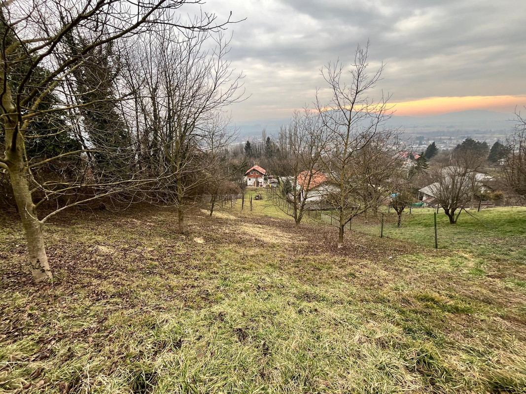 WhatsApp Image 2025-02-24 at 18.16.32