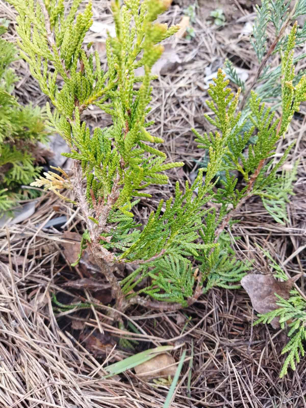 изображение_viber_2024-04-24_15-20-492