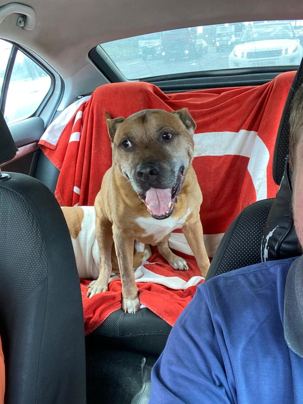 78C7B0BF-1EC1-46FA-87C0-18B1EC3EDEC6