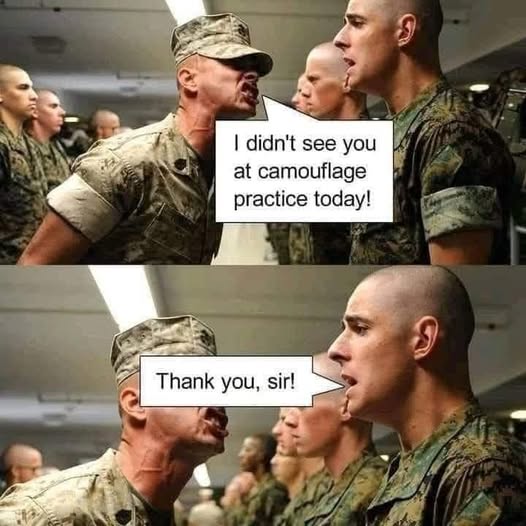 486682928_1085392650272276_1184677356419265623_n