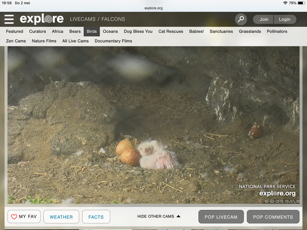 FBC09B00-FB06-40C7-A75B-B022E37E8715