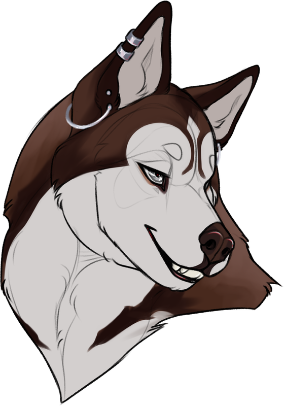 sketchcomm17.png